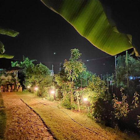 Guesthouse Vila Druri ديرمي المظهر الخارجي الصورة