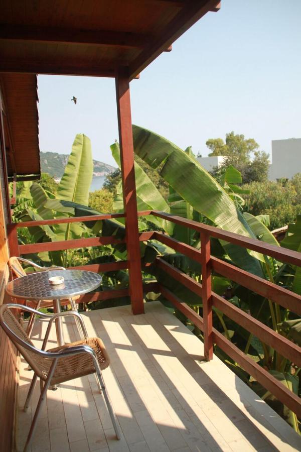Guesthouse Vila Druri ديرمي المظهر الخارجي الصورة